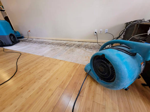 Professional Structural Drying technician working in Milpitas, CA